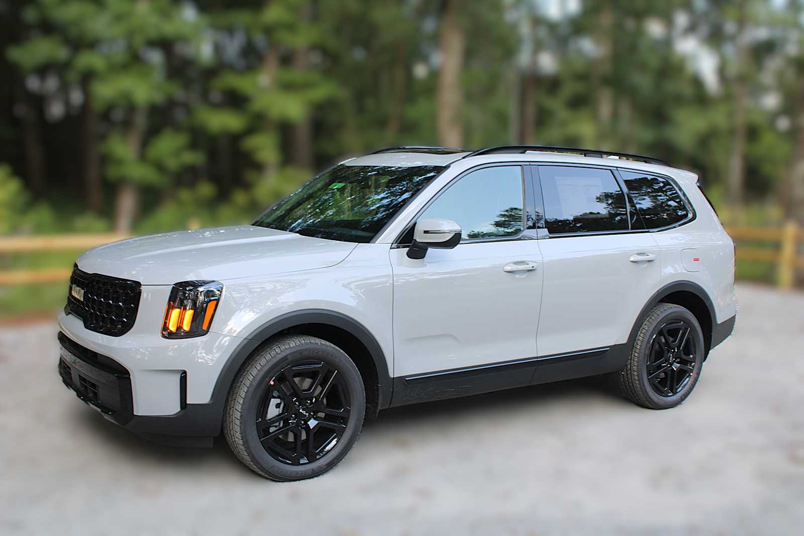 2025 Kia Telluride EX X-Line photo 3