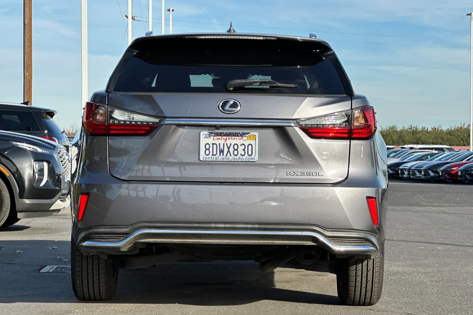 2018 Lexus RX 350L photo 3