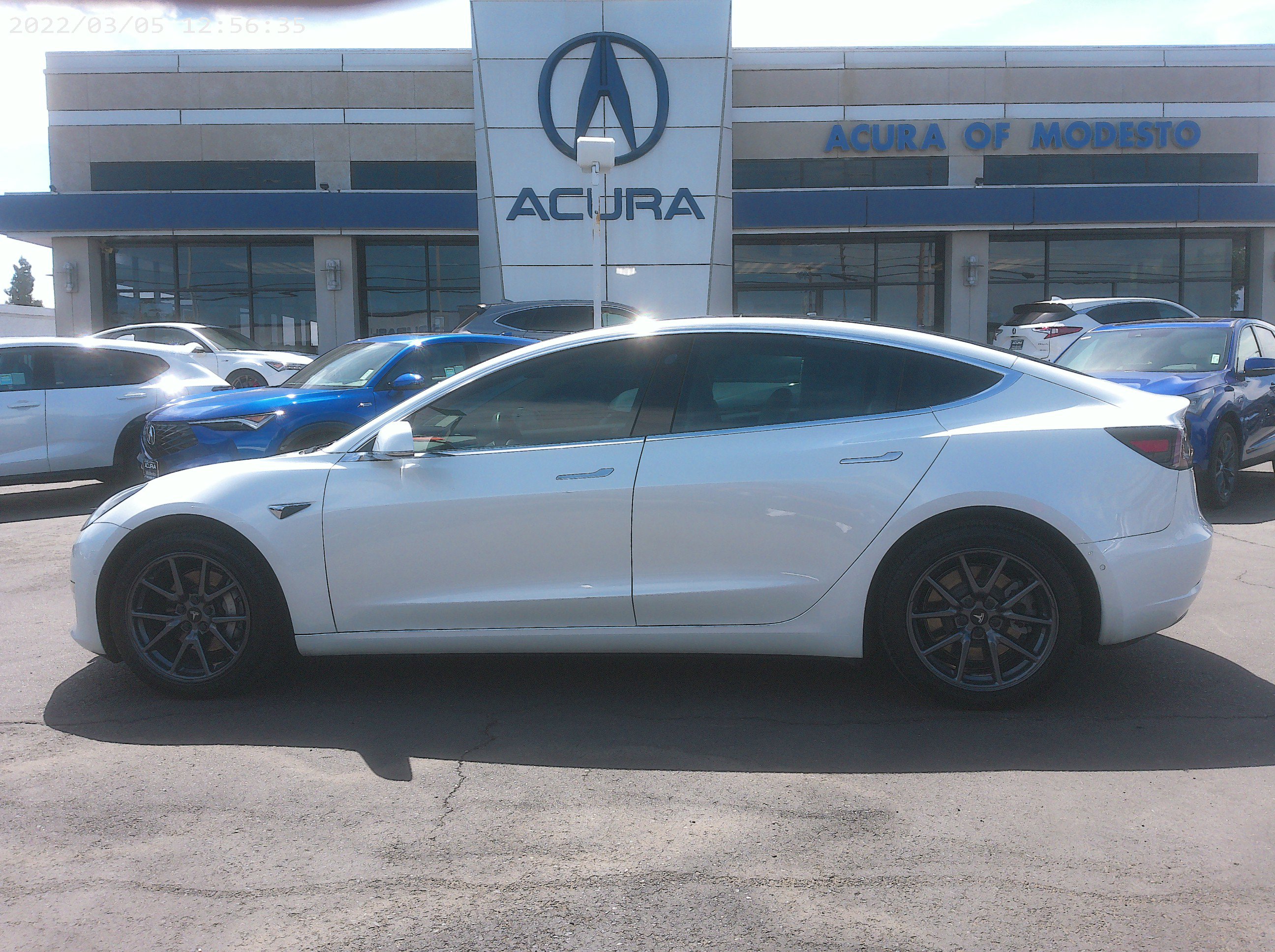 2019 Tesla Model 3 Long Range's photo