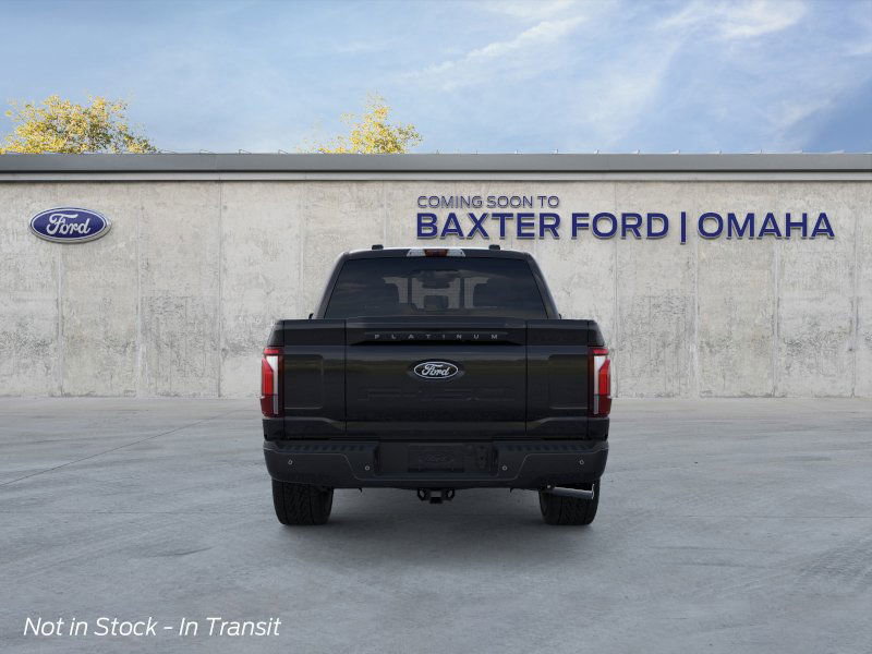 2025 Ford F-150 Platinum photo 20