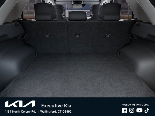2025 Kia Niro EV Wave photo 15