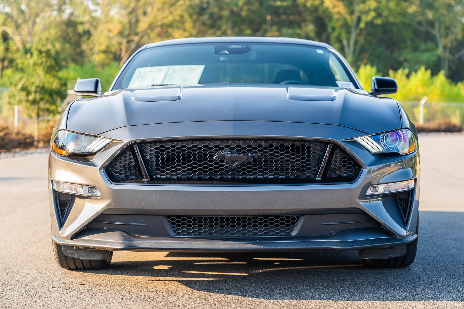 2021 Ford Mustang GT photo 2