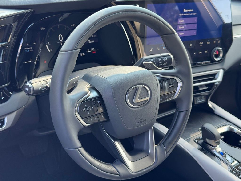 2025 Lexus RX 350 Premium AWD photo 12