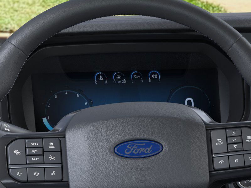 2025 Ford F-150 Platinum photo 11
