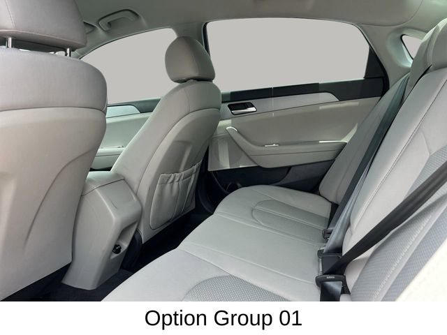 2018 Hyundai Sonata Eco photo 10