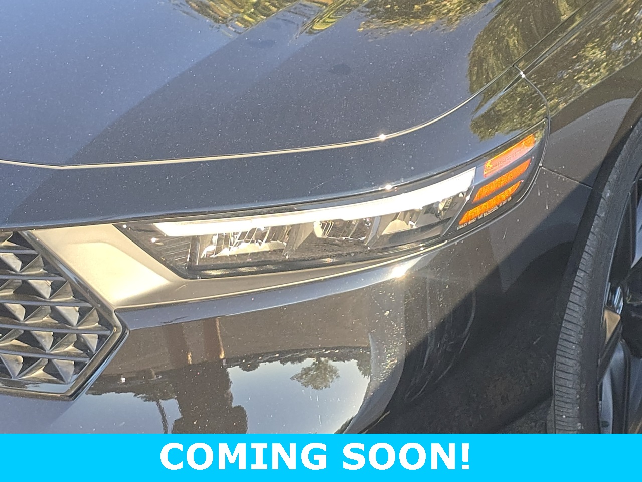 Certified 2024 Honda Accord Hybrid Sport-L with VIN 1HGCY2F75RA091832 for sale in Northfield, Minnesota