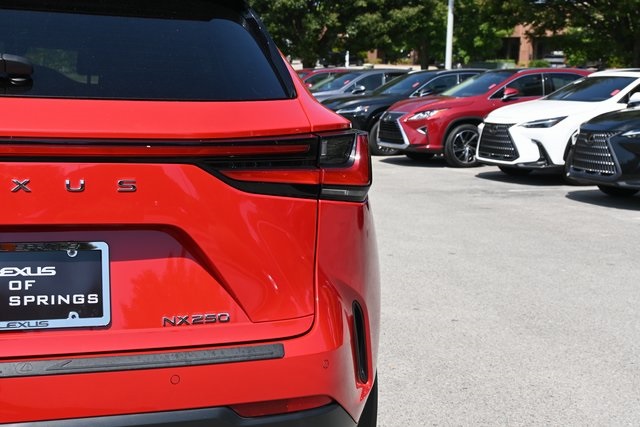 2024 Lexus NX 250 Premium photo 7