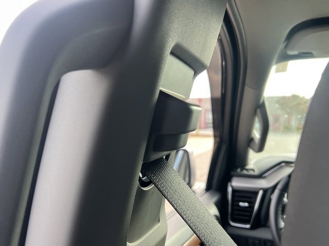 2025 Gmc Sierra 1500 Denali photo 14