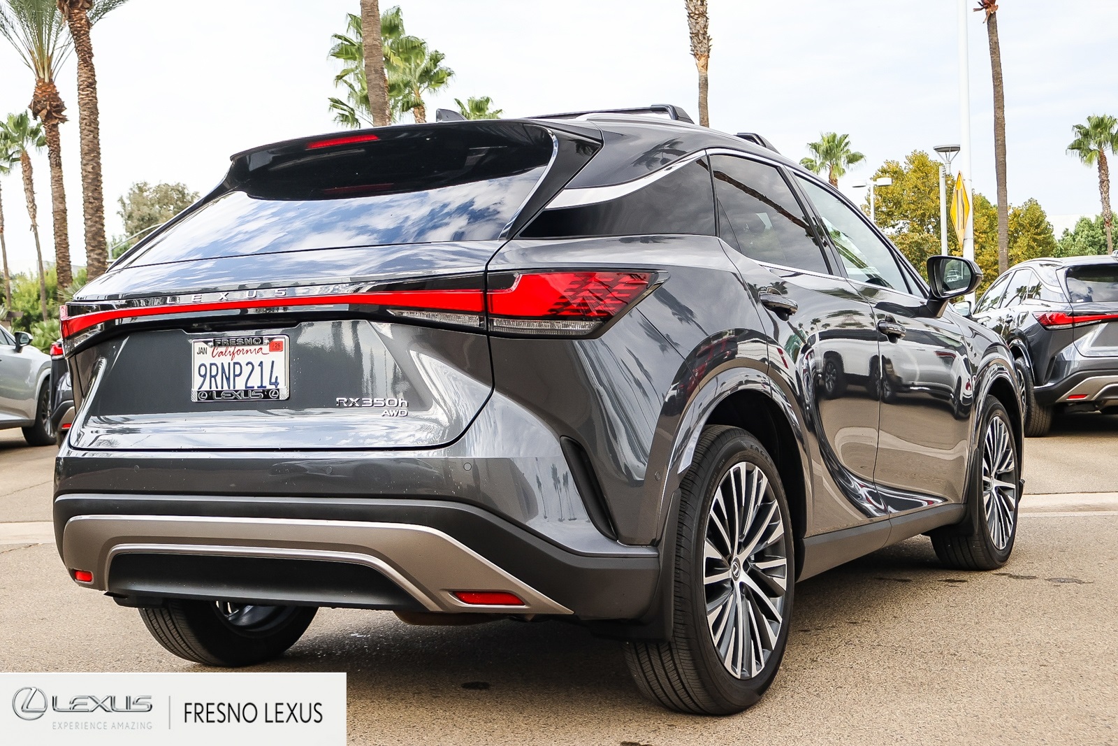 2025 Lexus RX 350h Premium photo 6