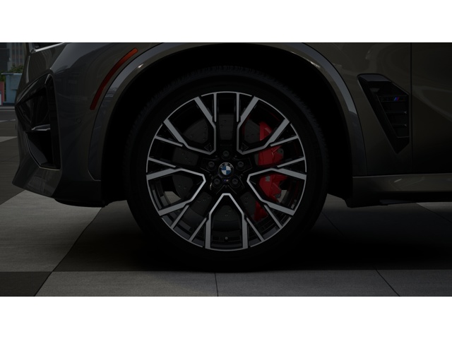 2026 Bmw X5 photo 6