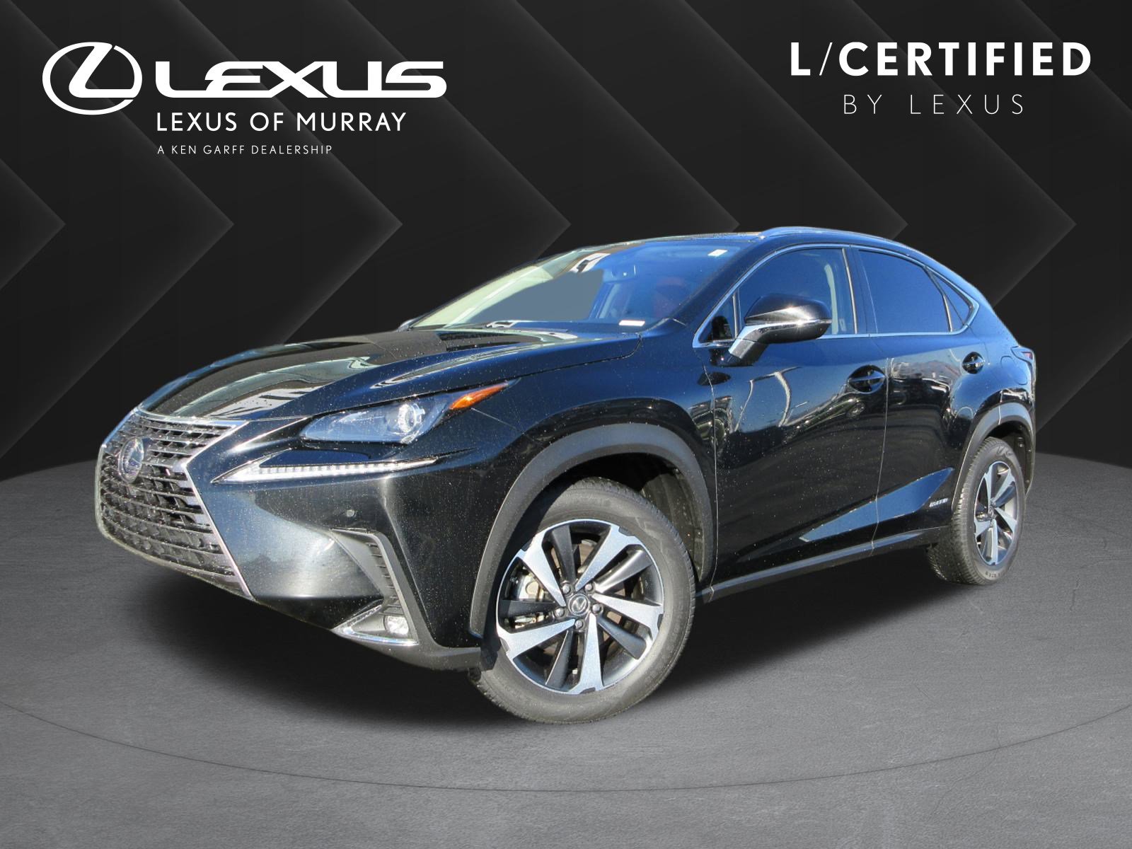 2021 Lexus NX Hybrid 300h's photo