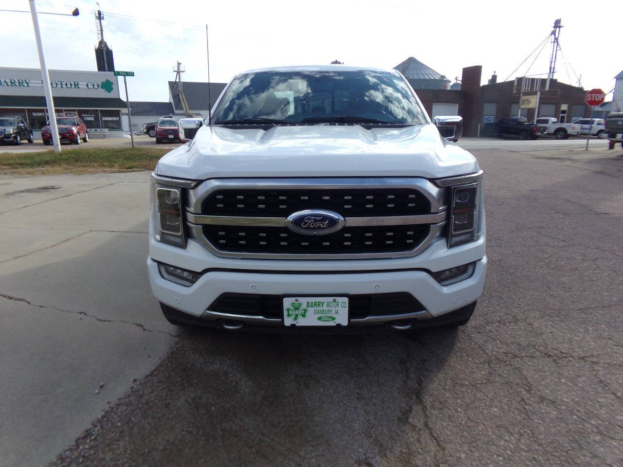 2021 Ford F-150 Platinum photo 2