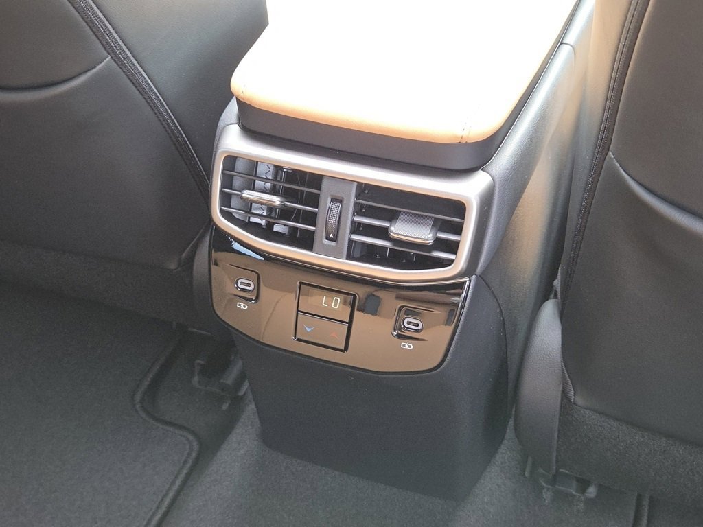 2025 Lexus RX 350 Premium photo 28
