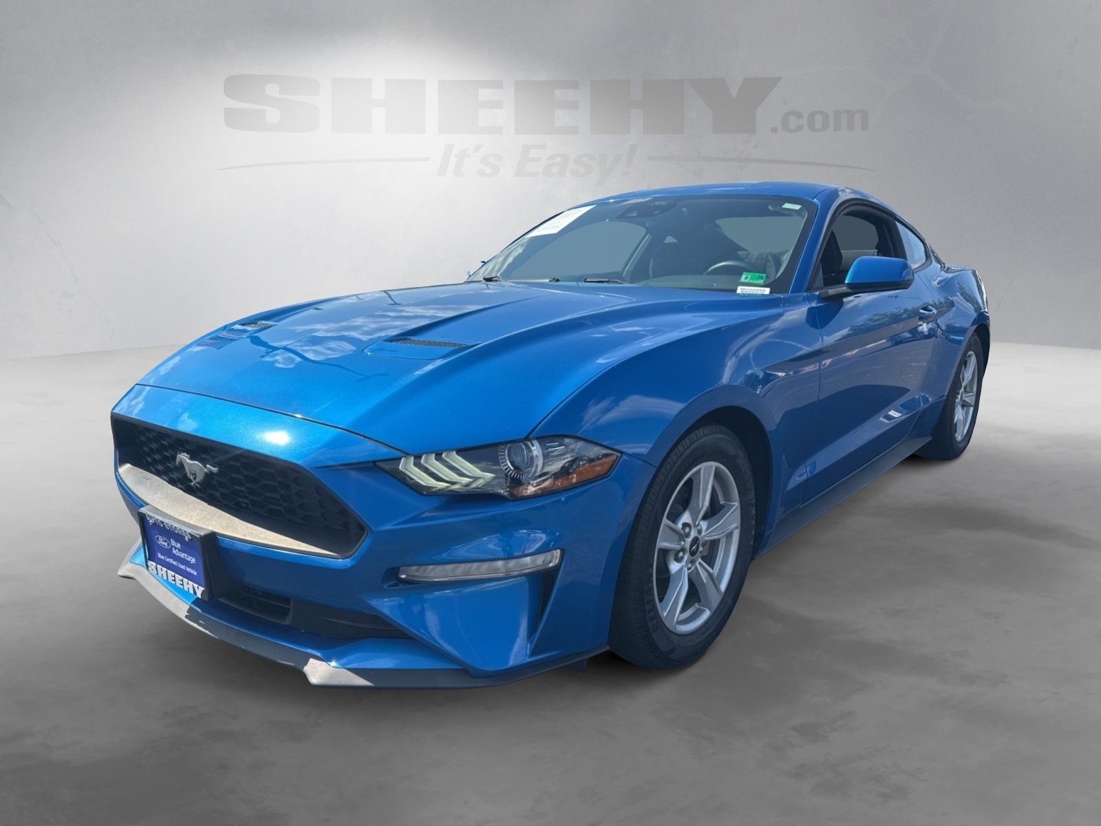 2021 Ford Mustang EcoBoost photo 15