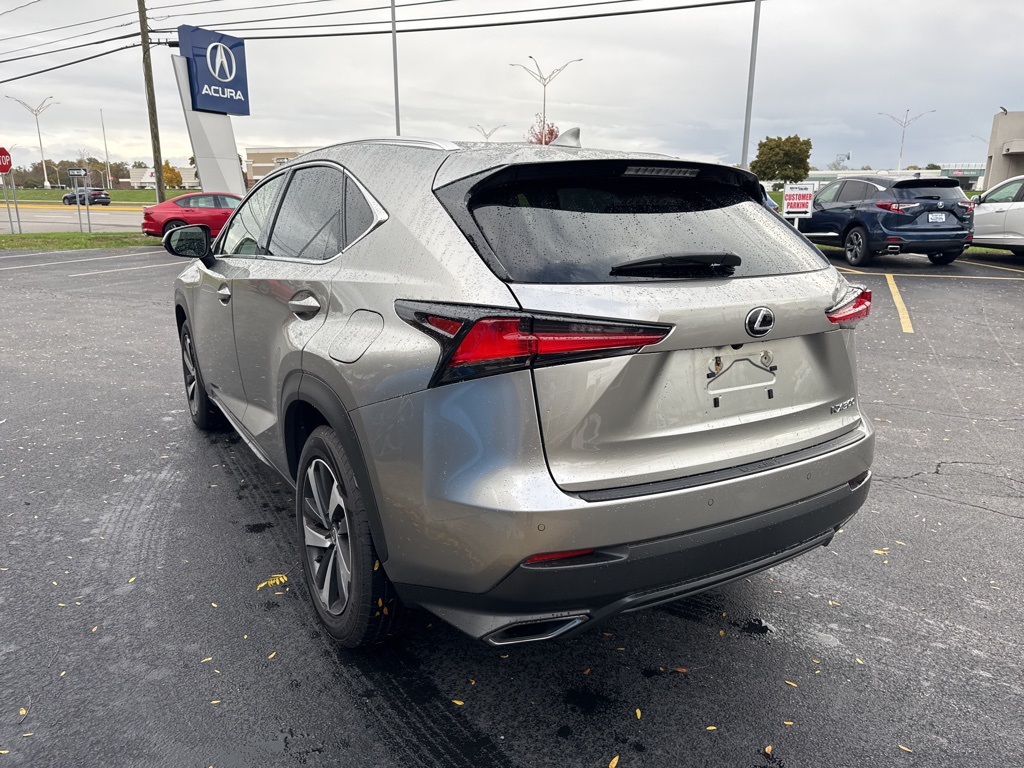 2019 Lexus NX 300 Luxury photo 3