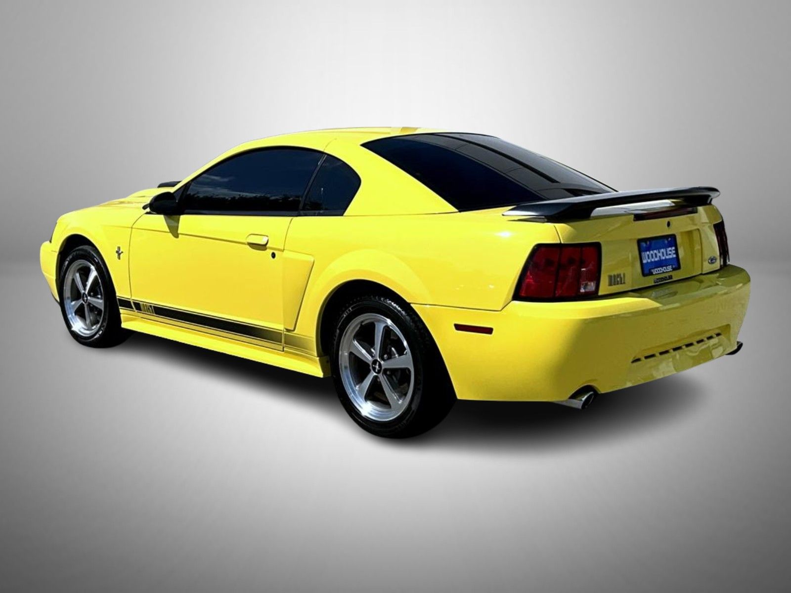 2003 Ford Mustang Mach 1 photo 7