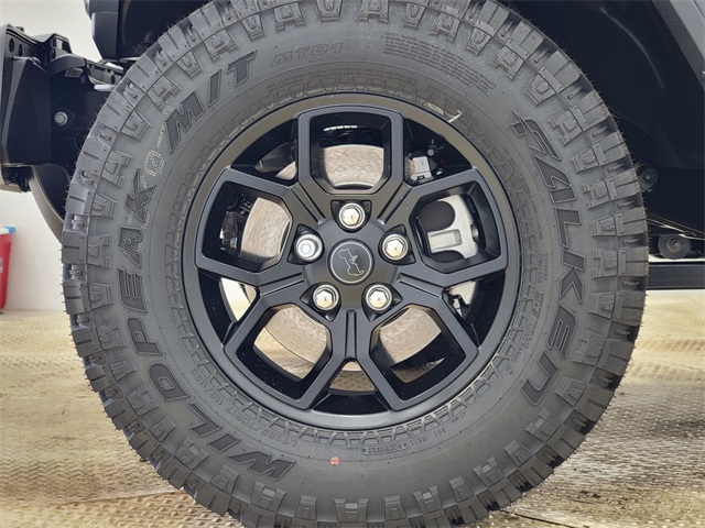 2025 Jeep Wrangler Willys photo 11