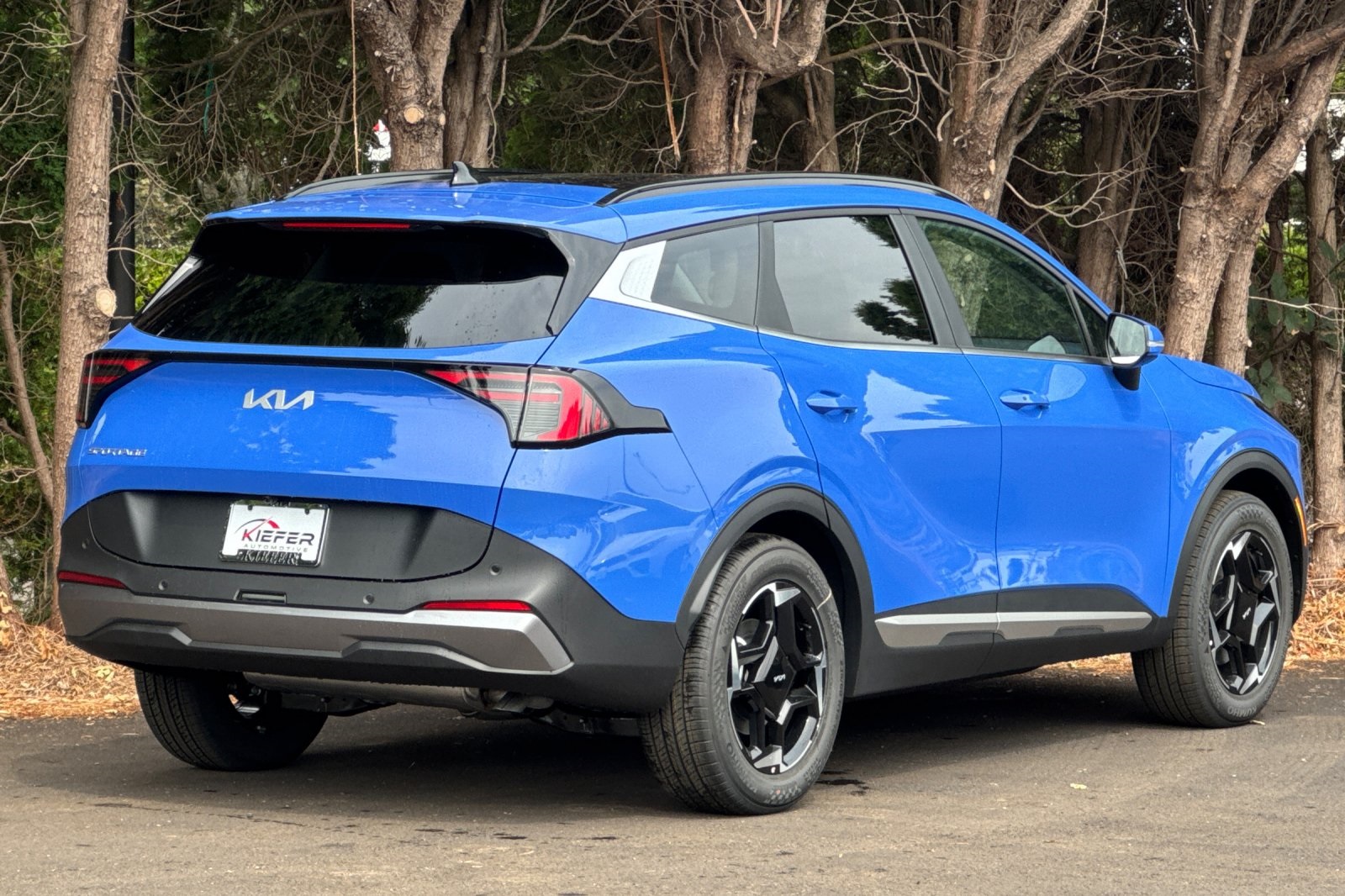 2026 Kia Sportage EX photo 3