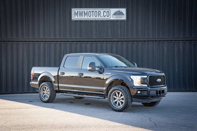 2019 Ford F-150 XL's photo