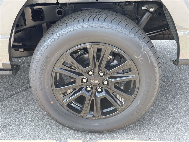 2025 Ford F-150 Platinum photo 3