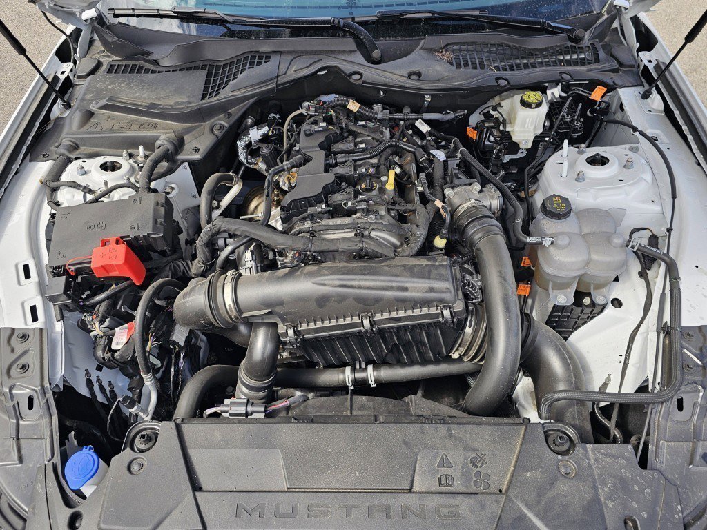 1FA6P8TH7R5143300