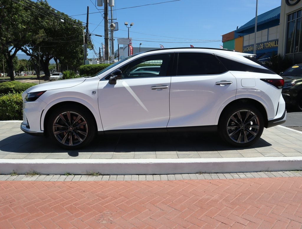 2025 Lexus RX 350 photo 8