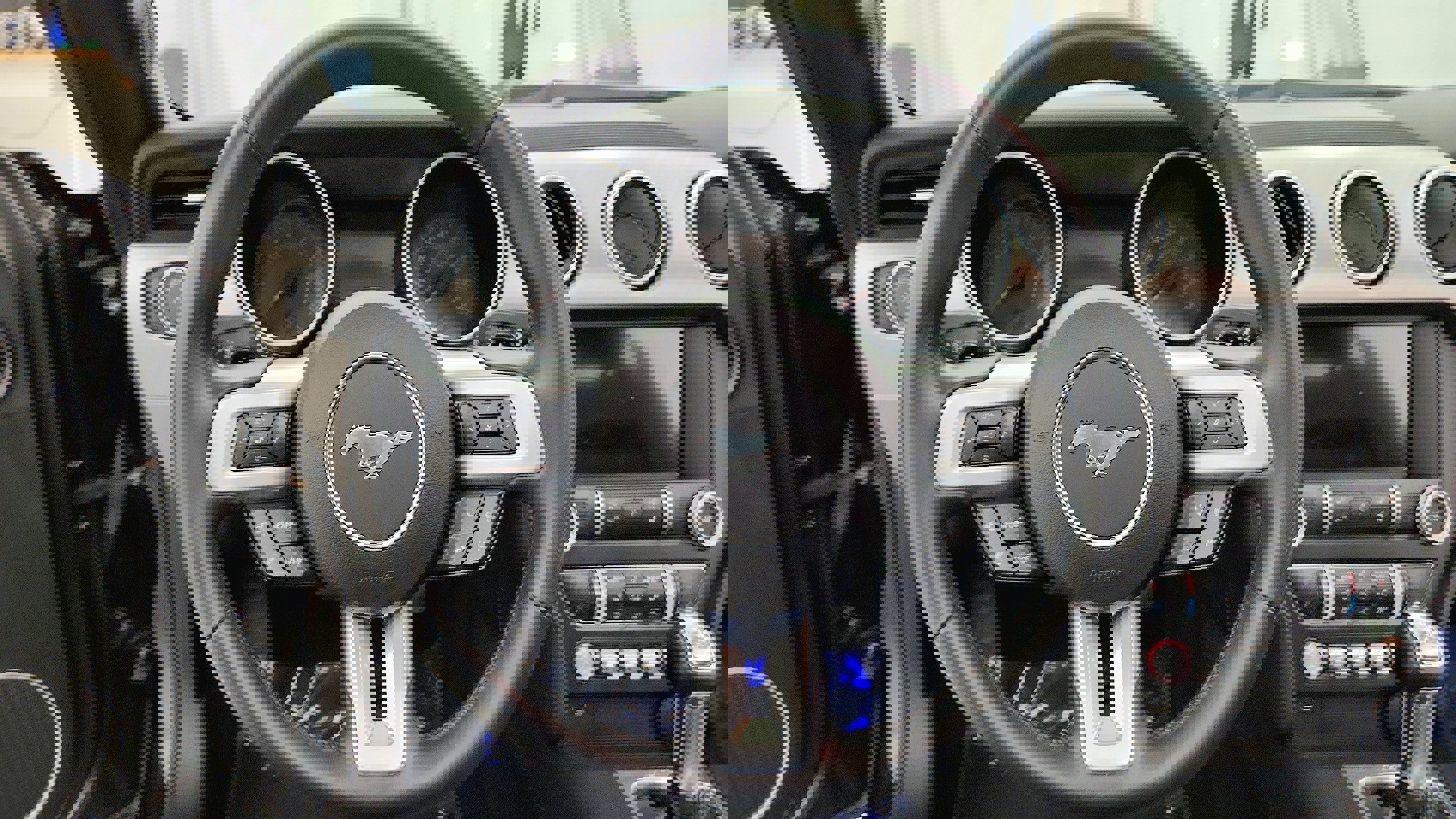 View 31