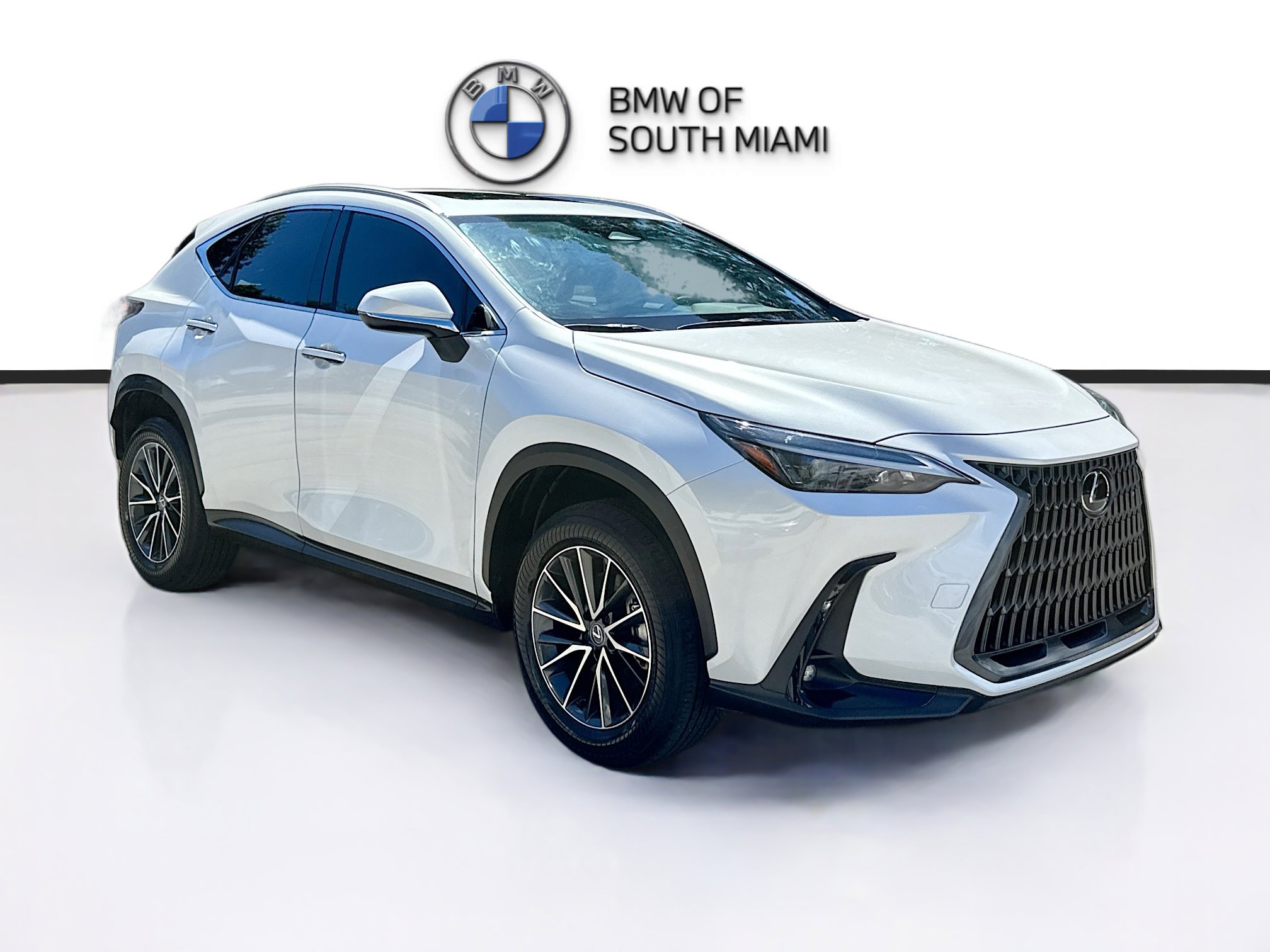 2024 Lexus NX Hybrid 350h's photo