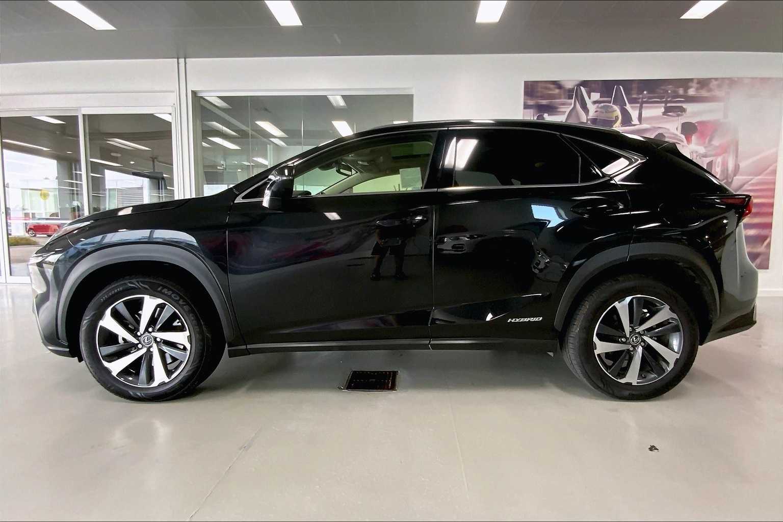 2021 Lexus NX 300h photo 3