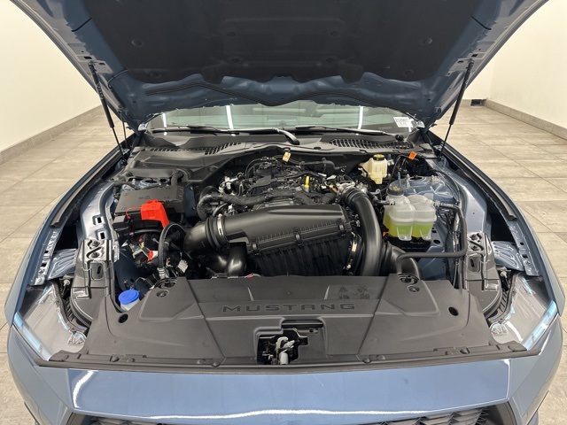 2025 Ford Mustang EcoBoost photo 3