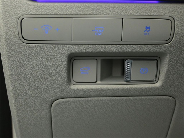 2024 HYUNDAI PALISADE - Image 11