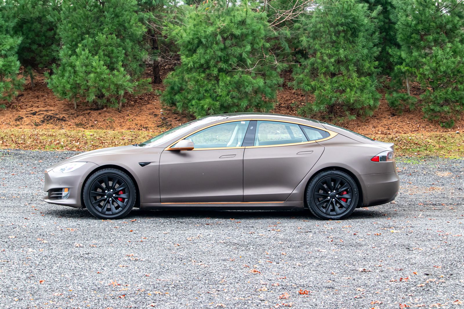 2018 Tesla Model S 75D photo 4