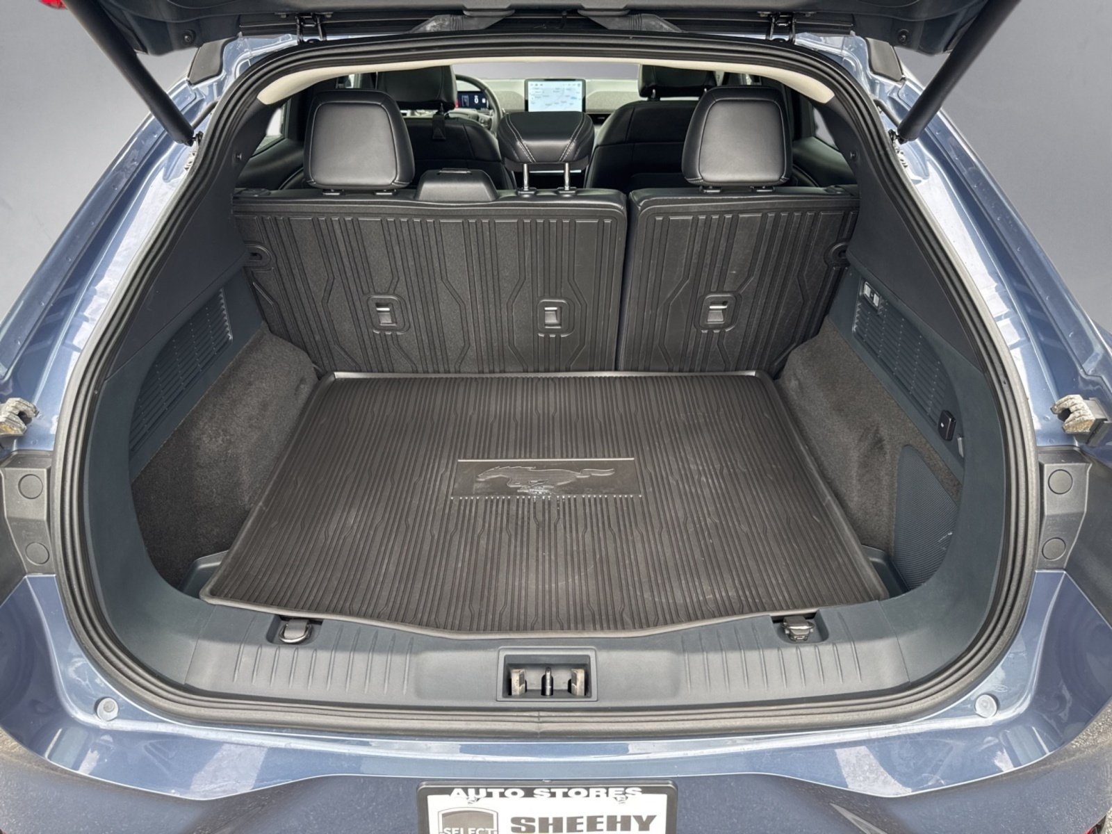 2021 Ford Mustang Mach-E Premium photo 21