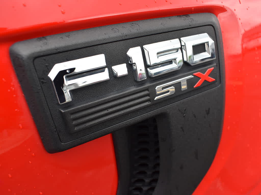 2021 Ford F-150 XL photo 10