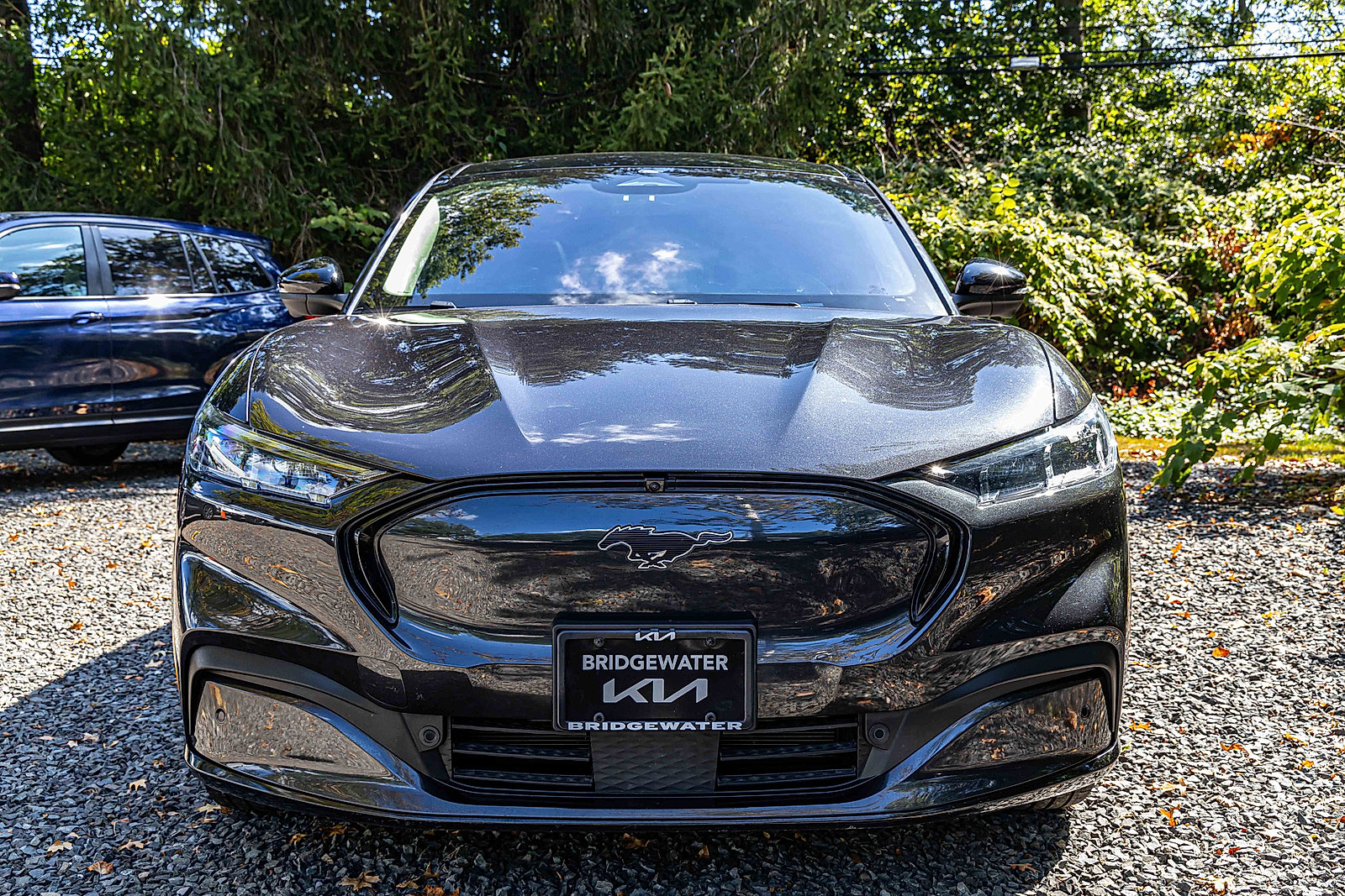Used 2021 Ford Mustang Mach-E Premium AWD with VIN 3FMTK3SU7MMA62468 for sale in Bridgewater, NJ