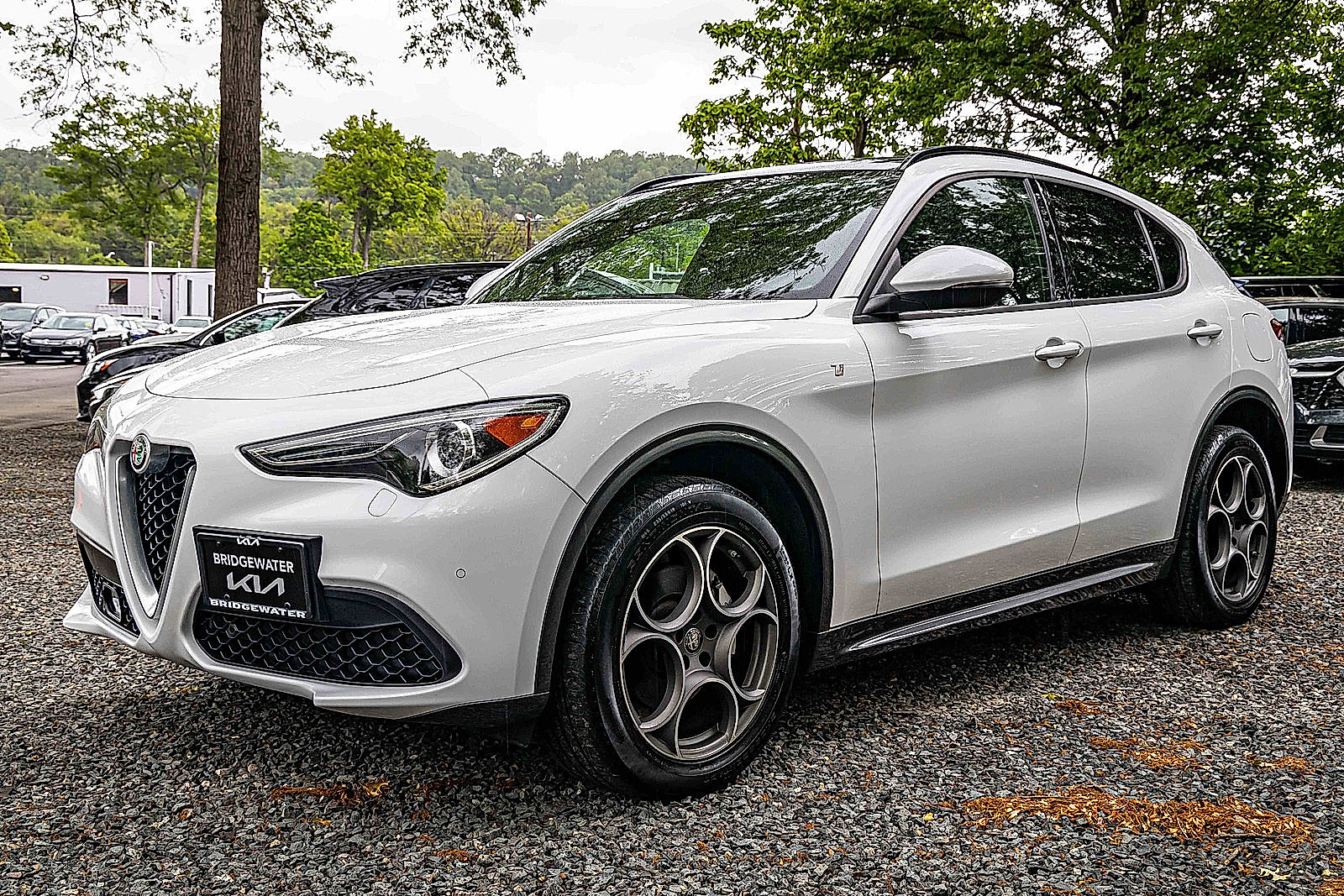 2022 Alfa Romeo Stelvio Ti photo 3