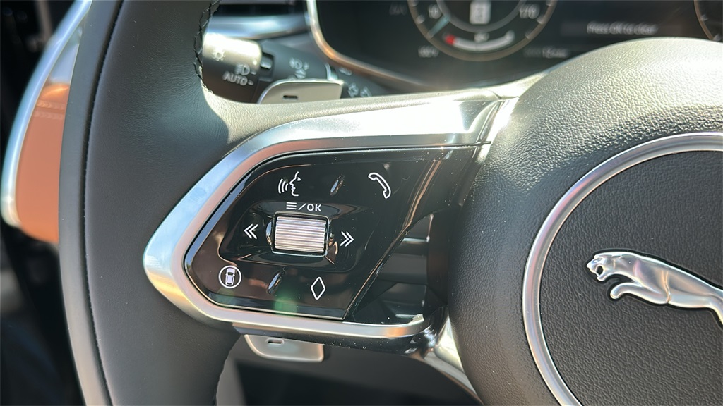 2026 Jaguar F-PACE P250 R-Dynamic S photo 14