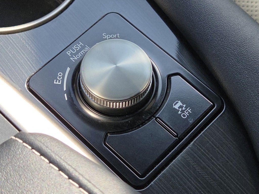 2021 Lexus RX 350 photo 13