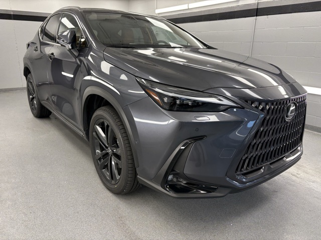 2025 Lexus NX 450h+ Luxury photo 4