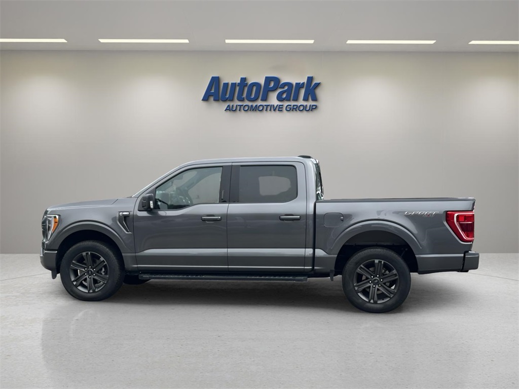 2023 Ford F-150 XLT photo 4