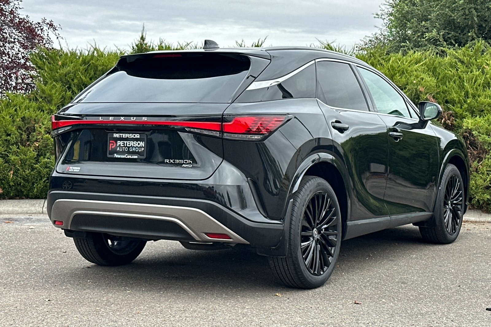 2023 Lexus RX 350h Premium AWD photo 2