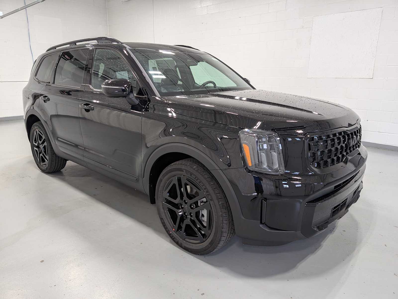 2025 Kia Telluride EX X-Line photo 6