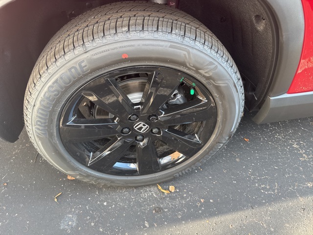 2025 Honda Pilot Black Edition photo 8