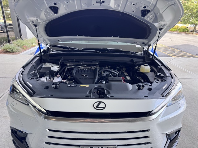 2025 Lexus TX 350 F SPORT photo 6