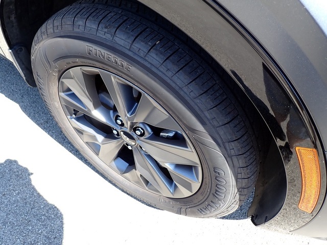 2023 Kia Sportage Hybrid photo 8