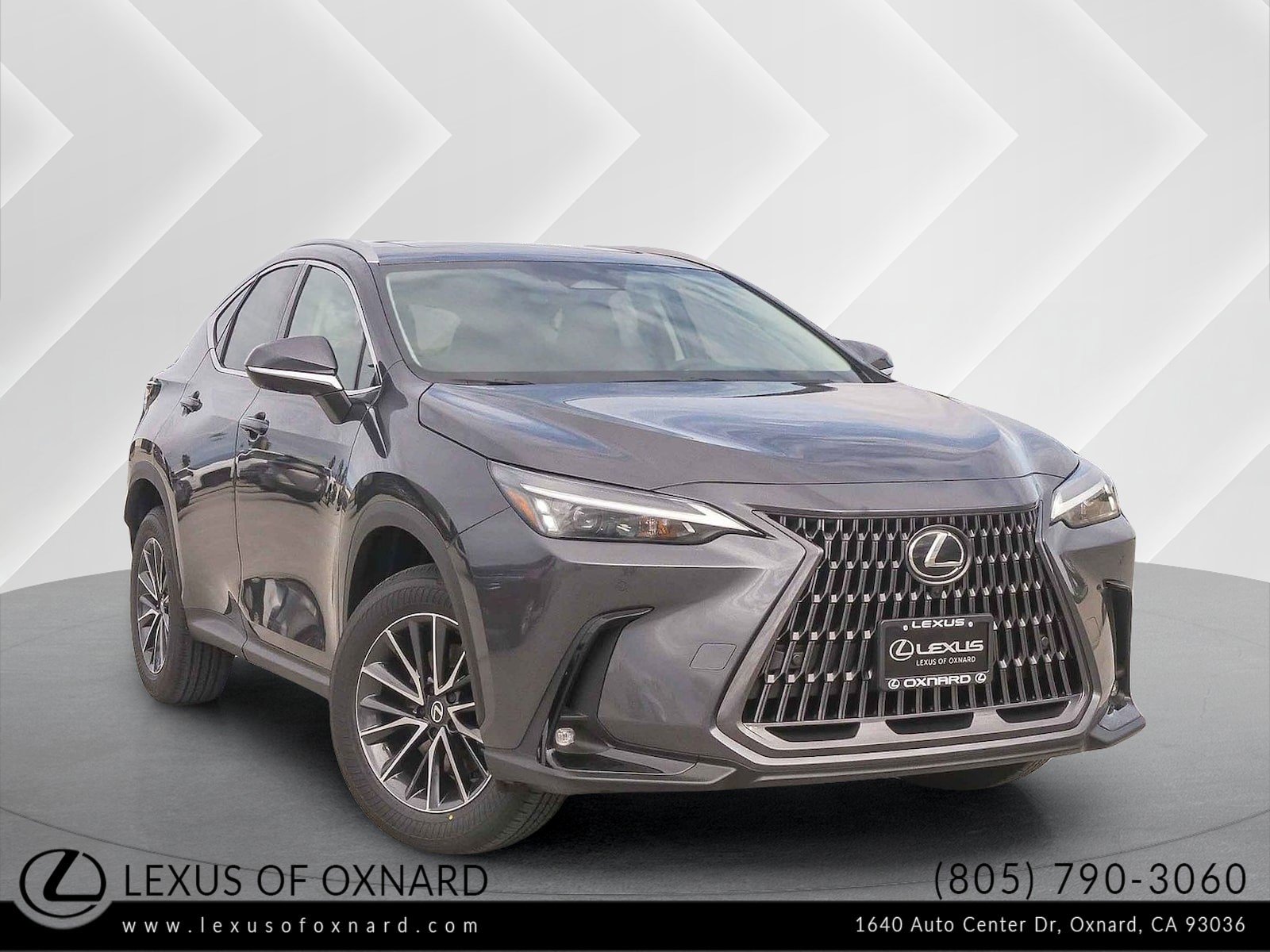 2026 Lexus NX 350's photo