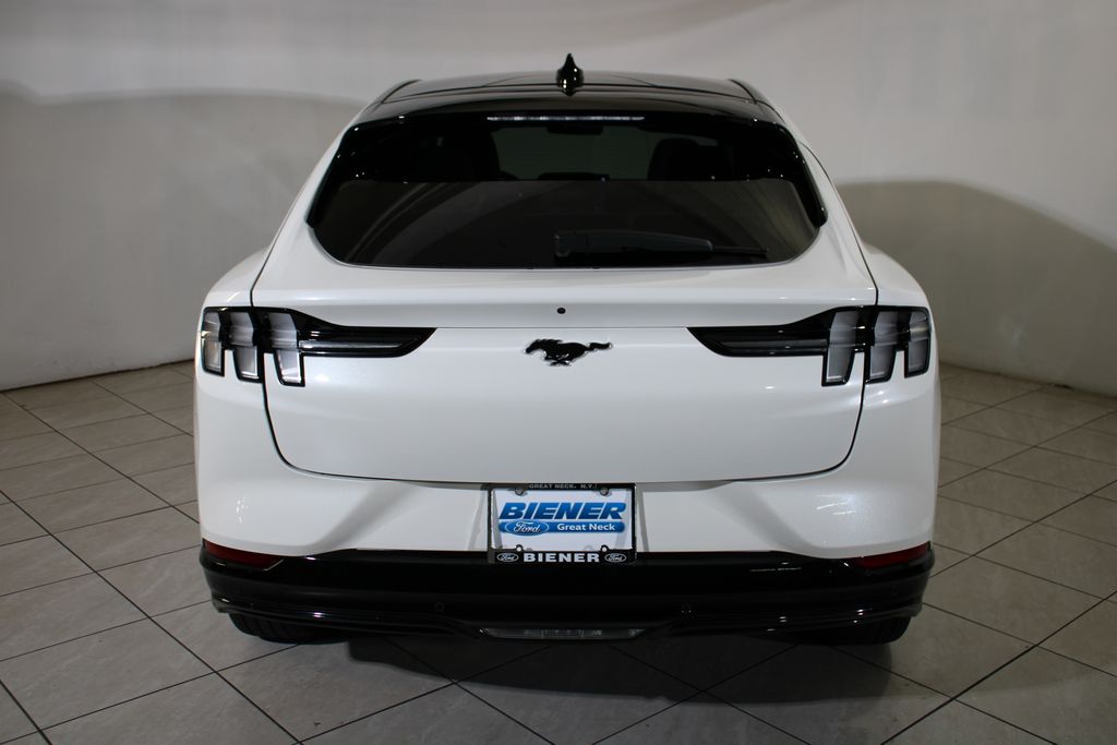 2021 Ford Mustang Mach-E Premium photo 15