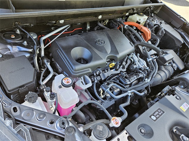 2020 Toyota RAV4 Hybrid XSE photo 17