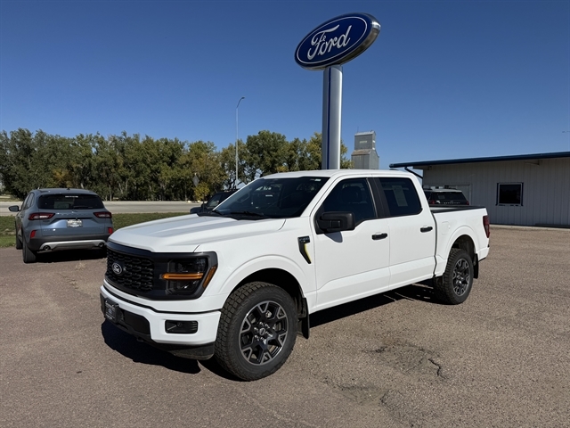 2024 Ford F-150 STX's photo