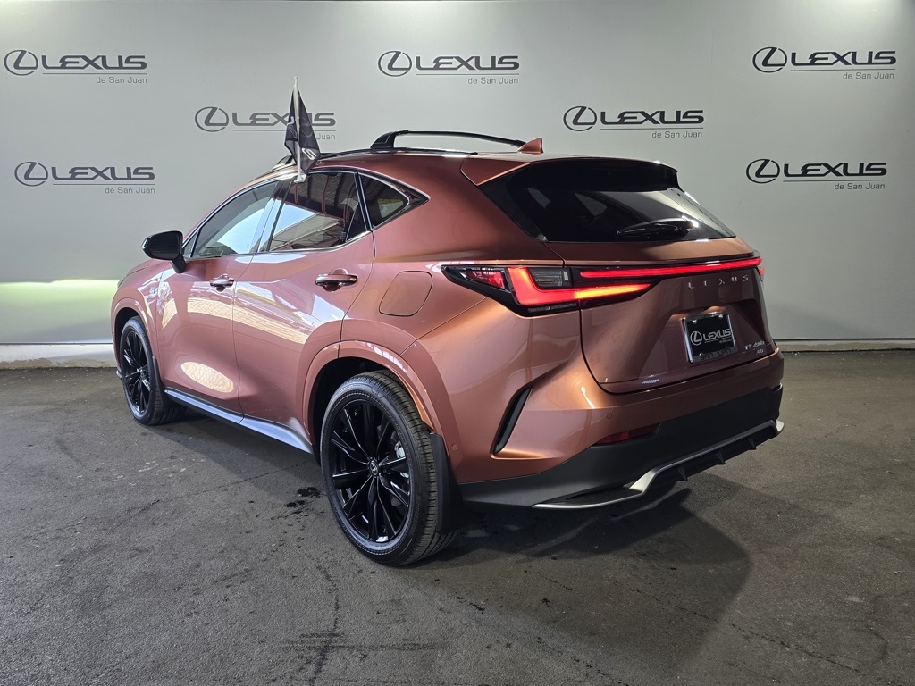 2025 Lexus NX 450h+ F SPORT photo 8